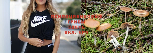 эйфоретик Абдулино